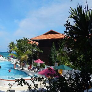 Mangos Jamaica Adults Only